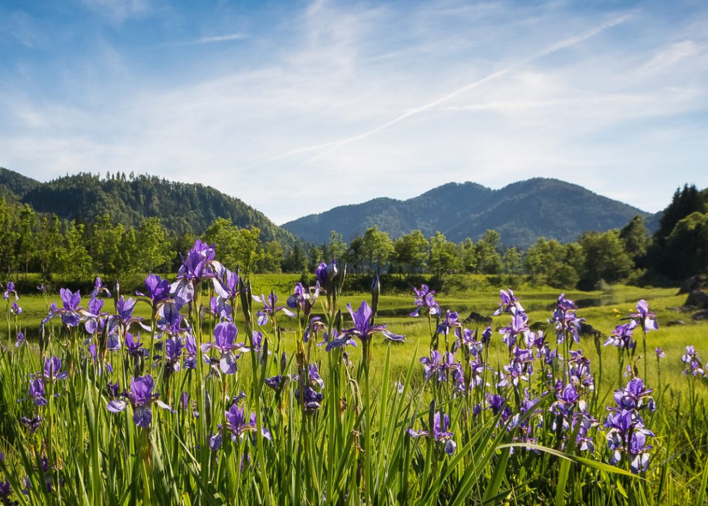 Urlaub in ruhpolding